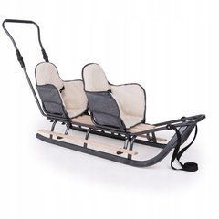 Duo Sledge Twin з штовхачем і грілкою