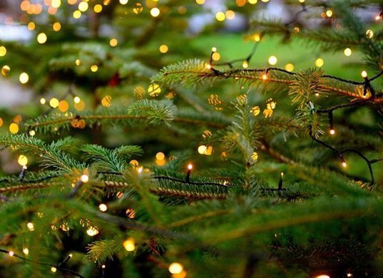 Уличные светодиодные рождественские гирлянды 15м 300 led