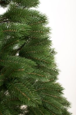 Ялина лита Буковельська 1,5 м, Зеленый;Белый