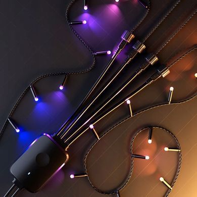 Twinkly Plus Dots 250 LED RGBW 12,5m IP65