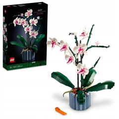 LEGO ICONS 10311 Orchidea, Ребенка