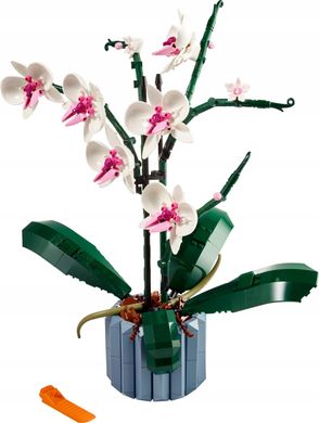 LEGO ICONS 10311 Orchidea, Ребенка