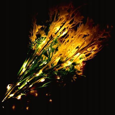 В'їзний сонячний світильник 2 ШТ. Solar flowers 75 см