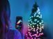 Светодиодные рождественские гирлянды Twinkly Strings 750 RGB, черный кабель, 60 м, IP44