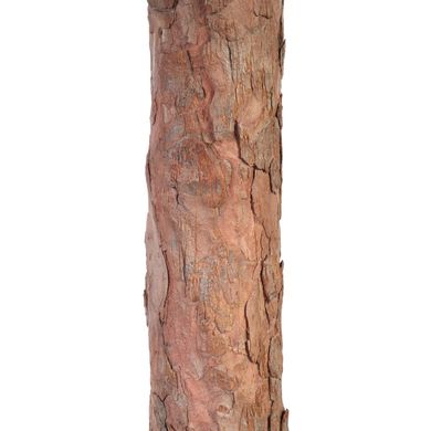 Штучна ялинка Голіаф 151 - 160 см