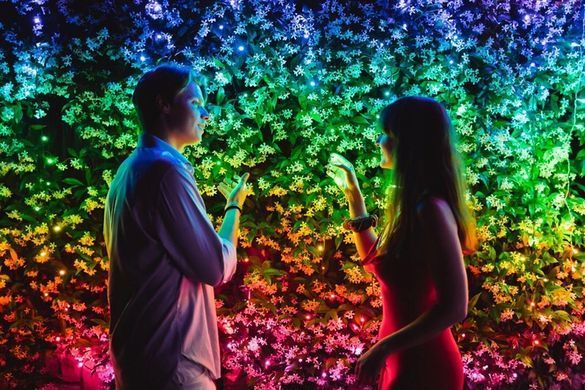 Twinkly Strings 600 Led RGB черный провод Вилка F (тип ЕС) 48 м