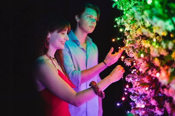 Twinkly Strings 600 Led RGB черный провод Вилка F (тип ЕС) 48 м