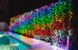 Twinkly Strings 400 LED RGB black wire Plug F (тип ЄС) 32 м