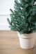 - 4